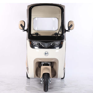 Trike électrique à <span class=keywords><strong>3</strong></span> <span class=keywords><strong>roues</strong></span> à corps ouvert pour adultes toit fermé avec roue adulte Tuk Triciclo enceinte pour le transport - Product Image 6