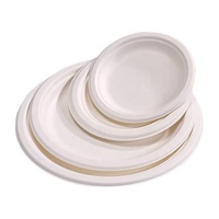 Pulpe de canne à sucre écologique jetable à usage unique vaisselle à emporter assiette à gâteau verte sûre