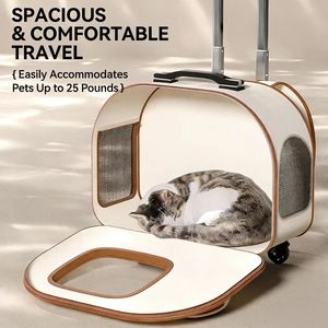 Sac à dos de transport pour animaux de compagnie JXB Factory Production, tendance, portable, multifonctionnel, pour <span class=keywords><strong>voiture</strong></span> - Product Image 3