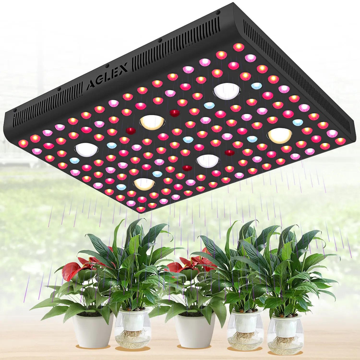 AGLEX Full Spectrum VEG BLOOM Double Switches High Power 3000W Full Spectrum LED Plant Grow Light Indoor Lamps for Indoor Plants