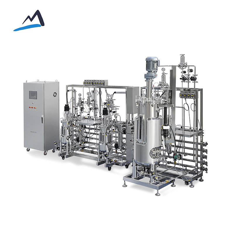 Bailun BLBIO 5-50-500SJC Laboratory Stainless Steel Fermenter 5-50-500L ...