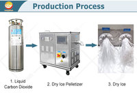 Machine à glace sèche à prix d'usine, fabriqueuse de granulés de 3-16 mm, machine à glace sèche CO2 de qualité alimentaire, production de 40-50 kg/h, contrôle PLC SUS304