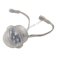 SMD5050 35mm Extérieur RVB Led Pixel Point Lumière 12V/24V RVB Pixel Lumière Hôtels Bâtiments Parcs À Thème Éclairage Décoratif