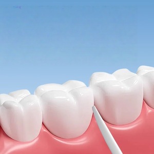 Cepillo de dientes Haier para la limpieza diaria entre los dientes, después de las comidas, cepillo de dientes y palillo de dientes desechables portátiles 2 en 1. - Product Image 2