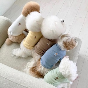 Maglietta Estiva Sottile per Cani di Piccola Taglia: Teddy, Bichon, Pomeranian, Yorkie, Schnauzer - Product Image 4