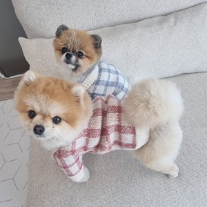 ZHONGYA Accesorios para Mascotas, Suéter Cálido y Elegante de Invierno, Tejido de Lana Suave, Abrigo para Cachorros con Patrón a Cuadros, Ropa para Perros, Artículos para Perros - Product Image 3