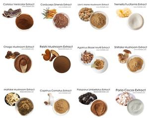 Hongda Mantar Tozu Organik Karışık Mantar Aslan Yelesi Reishi Cordyceps <span class=keywords><strong>Chaga</strong></span> Bitkisel Mantar Ekstresi Tozu - Product Image 6