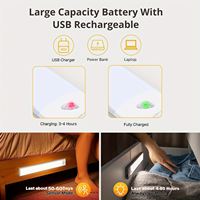 Lampe d'armoire à détecteur de mouvement LED, éclairage de placard sous le comptoir, veilleuses de cuisine magnétiques sans fil rechargeables par USB