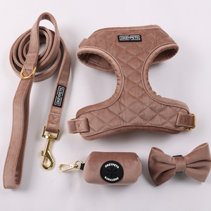 Nuevos Productos Populares: Accesorios Clásicos de Terciopelo para Mascotas, Conjunto de Arnés, Correa y Lazo para Perro con Color Personalizado y Diseño Moderno - Product Image 6