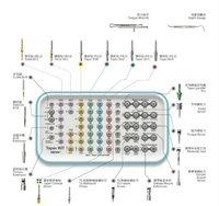 Kit de confection d'implants dentaires Osstem / Outil de réparation orale pour implants dentaires / Ensemble de forets pour implants