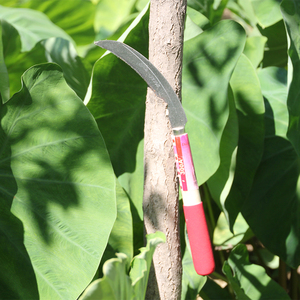 Japanese Style Agricultural Sickle 206C Wooden Handle - Professional High Carbon Steel Blade Rice Harvesting - Product Image 4