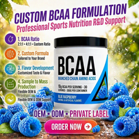 Poudre de BCAA Fournisseur OEM Sans Sucre Récupération Musculaire Hydratation Endurance avec L-Glutamine Électrolytes Nutrition Sportive pour Adultes