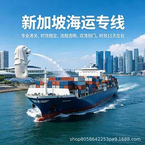 บริการขนส่งทางทะเล XSL สิงคโปร์ สายเรือเฉพาะทาง LCL ด่วน สำหรับสินค้าทั่วไป จัดส่งถึงหน้าประตู - Product Image 3