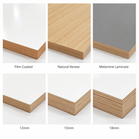 Panneau de bois décoratif multi-finitions, contreplaqué filmé/plaqué bois/laminé mélaminé pour la décoration intérieure