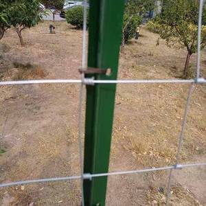 QG Farm Gard 4 Ft X 330 Ft campo zincato recinto di prati 6Ft bovino cavallo campo recinzione con struttura in ferro per la sicurezza per le capre - Product Image 3