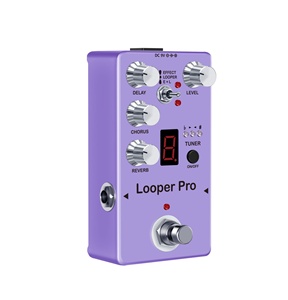 Looper Pro-melodico Loop Chorus Delay riverbero effetti di accordatura accessori per chitarra strumento - Product Image 2
