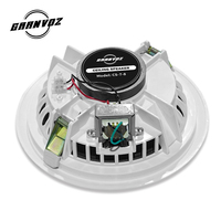 Metal malzeme alıcıları ile 6.5 inç kapalı ses tavan hoparlörler 6W Woofer ev amplifikatör