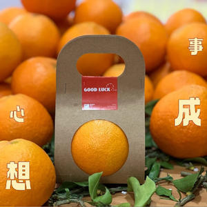 กล่องผลไม้แบบพกพา ผลิตจากกระดาษคราฟท์รีไซเคิล พร้อมซับในฟองน้ำ เคลือบด้านและลายนูน - Product Image 5