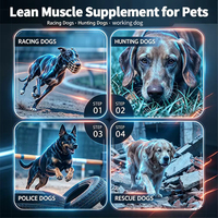 Vente en gros de produits pour chiens : BCAA, Glucosamine, L-Carnitine pour l'amélioration musculaire, la récupération, la nutrition, la performance des chiens de course et de travail K9, OEM