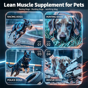 Suplemento Mayorista para <span class=keywords><strong>Perros</strong></span>: BCAA, Glucosamina, L-Carnitina para Recuperación Muscular, Nutrición para Rendimiento en Carreras y Trabajo K9, OEM - Product Image 3