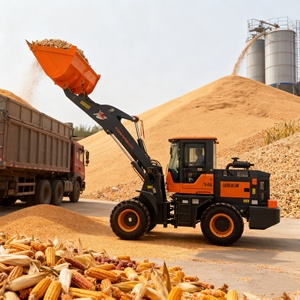 क्946 मिनी व्हील लोडर 2 टन डीजल उच्च दक्षता पृथ्वी चलती मशीनरी आइसो9000 प्रमाणन 1 वर्ष की वारंटी असर पंप - Product Image 4