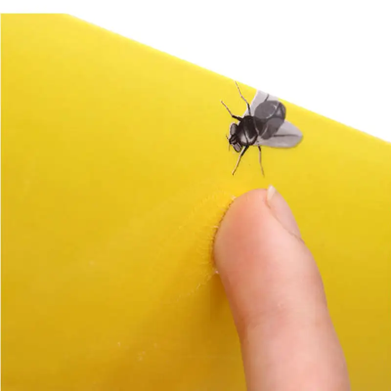 กาวดักแมลงวันเหนียวสำหรับใช้ในบ้านกับดักแมลงวันเหนียวสูงสำหรับใช้ในบ้านป้องกันแมลงกับดักแมลงวัน