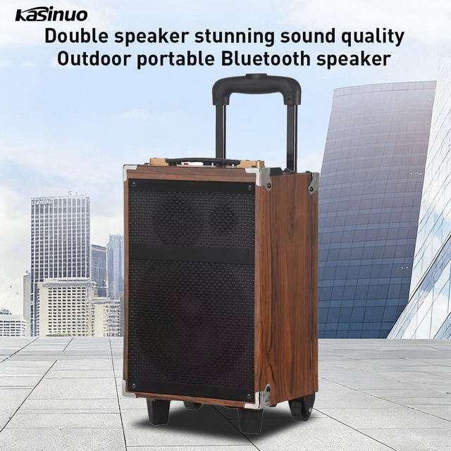 Custom Label Outdoor Bt 5.3 Wireless 8 Inches Multimedia Party Dance Music Player Portable Trolley Speaker