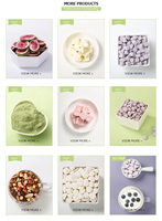30g 3 Flavors Noodle Partner Freeze Dried Instant Soup Cube
