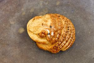 Patrimonio culturale immateriale dell'arte di intaglio del bambù fatto a mano: Rospo dei soldi a tre zampe - Product Image 5