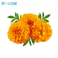 Ekstrak Tumbuhan Alami Dari Bunga Marigold Bubuk Lutein Kelas Makanan 80% Kemasan Drum