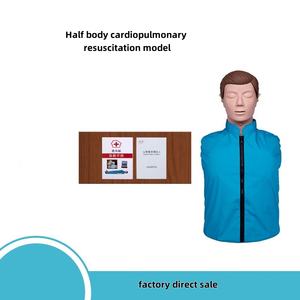 Modello di Rianimazione Cardiopolmonare a Mezzo Busto di Alta Qualità, Vendita Diretta dal Produttore - Product Image 3