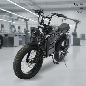 Bicicleta Eléctrica de Neumáticos Anchos Estilo Retro de 1000W, 48V 20Ah, 20 Pulgadas, E-Bike, Bicicleta Eléctrica con Llantas Anchas - Product Image 3