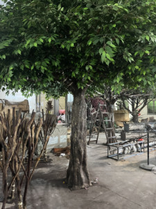 Árboles Banyan de plantas simuladas personalizados para hoteles de interior, centros comerciales, Puntos escénicos, árbol grande <span class=keywords><strong>Artificial</strong></span>, árbol de Ficus verde - Product Image 3