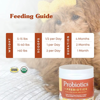 Poudre de probiotiques saveur poulet, styles les plus vendus en gros, pour la santé gastro-intestinale des animaux de compagnie sensibles aux antibiotiques