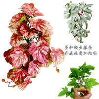 Plantes artificielles de qualité supérieure pour reptiles, adaptées aux dragons barbus, geckos crêpus, lézards, grenouilles et tortues, pour l'enrichissement des terrariums.