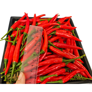 ผลิตภัณฑ์ทางการเกษตรแช่แข็งสดจากผู้ผลิตเวียดนาม-พริกเครื่องดื่มสมุนไพรราคาถูก-วัตถุดิบดีเยี่ยม - Product Image 5