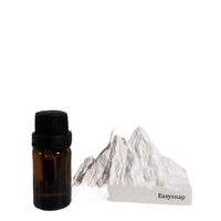 Diffuseur d'huiles essentielles en céramique de haute qualité, sans flamme, longue durée, parfum durable, boîte cadeau de luxe personnalisée pour la maison, sans BPA