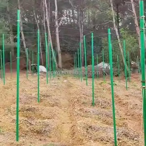 High Strength Passion Fruit Orchard Support Pipes <b>Plastic</b> Plant Stakes 8mm-60mm - Product Image 6