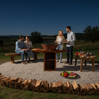 Plancha de barbecue d'extérieur en métal durable, style tendance, facile à déplacer, à combustion de bois, vente en gros