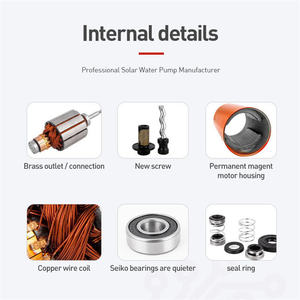 <span class=keywords><strong>Pompes</strong></span> à eau <span class=keywords><strong>solaires</strong></span> professionnelles 1 pouce 12V submersibles DC pour l'irrigation domestique et agricole, <span class=keywords><strong>pompes</strong></span> <span class=keywords><strong>solaires</strong></span> automatiques submergées - Product Image 6