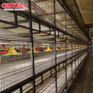 Ticari kullanım Pondeuse horoz horoz tavuklar kafesleri kanatlı tavuk tarım ev besleme makinesi katmanlı üreme kafesi sistemi - Product Image 4