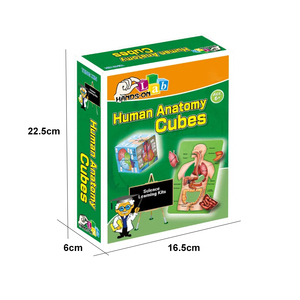 Juego de Órganos Humanos para Educación Temprana, Juguete Educativo de Ciencias para Estudiantes de <span class=keywords><strong>Primaria</strong></span> <span class=keywords><strong>y</strong></span> <span class=keywords><strong>Secundaria</strong></span>, Rompecabezas DIY, Juguetes Cognitivos - Product Image 6