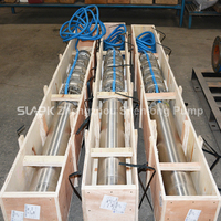 Pompe submersible pour puits profond 304SS, débit 120 m3/h, hauteur de refoulement 100 m, irrigation agricole, formation technique complète