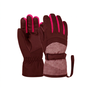 Gants de ski haut de gamme, gants d'hiver imperméables et thermiques à doigts complets pour le ski alpin, le snowboard et les activités de plein air - Product Image 1