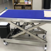 Tapis de table vétérinaire en acier inoxydable à prix de gros pour cliniques vétérinaires - Eur Pet Factory