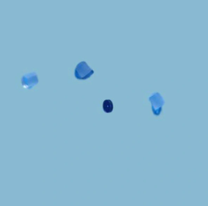 Ensamblaje de lente de objetivo de endoscopio, cabezal de cámara de reparación, endoscopios flexibles y rígidos, procesador de video, fuente de luz, insuflador - Product Image 1