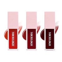 Grosir Lip Tint Korea Tanpa Logo, Rasa Aneka, Label Pribadi, Tahan Lama, Lip Water Tint
