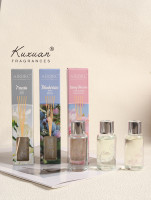 30ml Décoration intérieure Meilleur parfum de chambre Diffuseur de roseaux Bouteille en verre rouge de luxe avec arôme fait maison Forme carrée
