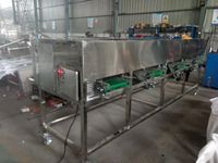 Knoflook sorteermachine, maatselectie fruit- en groentemachine, gatbandtype knoflook maatselectiemachine