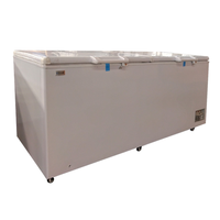 Congélateurs horizontaux pour supermarchés, vitrine de présentation pour aliments surgelés, congélateur pour glaces